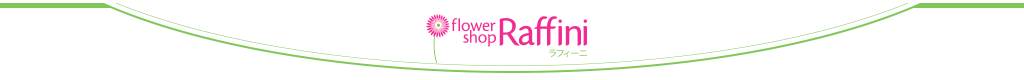 flower shop Raffini